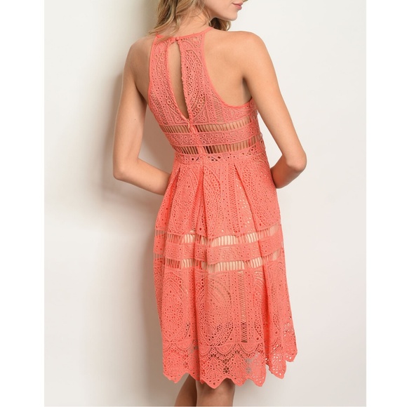 Coral Nude Dress {The Vintage Shop} - Picture 3 of 3
